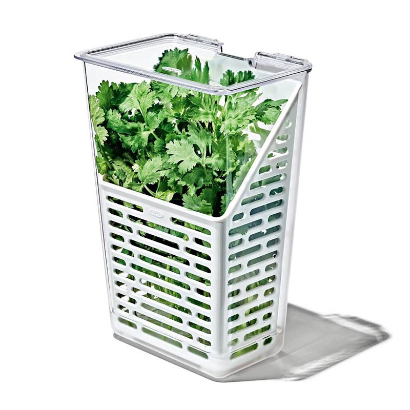 PRODUCE SAVER - HERB KEEPER
