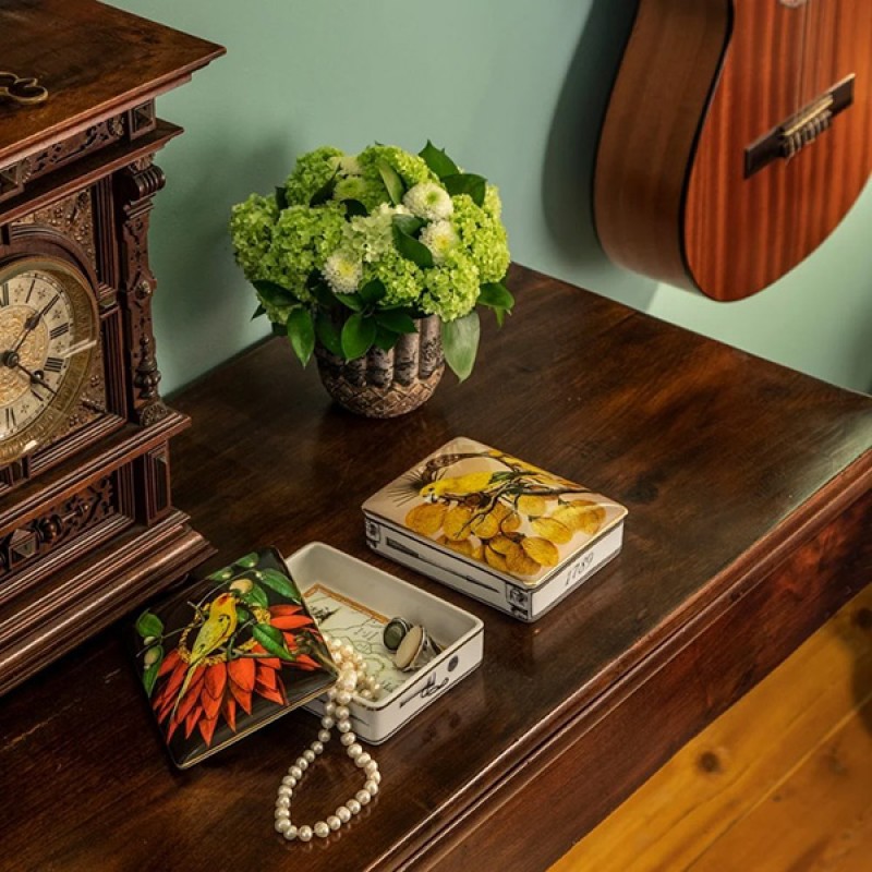 CARDBOX ESC AMAZONIA