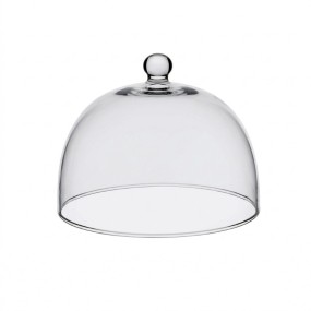 DOME FOR ARTICLE AL066